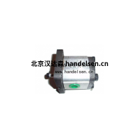 ABITEK齒輪泵RS2技術參數(shù)