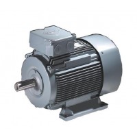 VEM電機(jī)B21R 90 L 8型號簡介