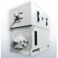 VEM異步電動機(jī)用于電廠技術(shù)