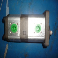西班牙Roquet鋁齒輪泵和電機(jī)從 4 到 26，66 cc/rev |LZ - 低噪音系列