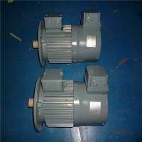 德國(guó)VEM電機(jī)廣泛用于機(jī)械工程、工程建設(shè)、化工、石油和天然氣