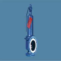 LESER緊湊型安全閥459 CC、459、437系列 應(yīng)用