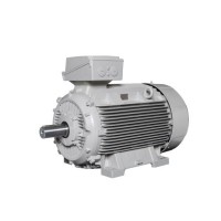 Lammers防爆電機(jī) 型號1TZ9002-0BA6效率等級：IE2、IE3