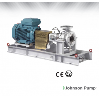 Johnson Pump 重型流程泵，適合化工/石化工業(yè)、煉油廠和一般工業(yè)應(yīng)用