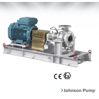 Johnson Pump 重型流程泵，適合化工、煉油廠和一般工業(yè)應(yīng)用