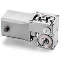 Mini Motor 蝸輪蝸桿直流減速電機BC2000-24MP，永磁直流電，全封閉