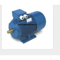 意大利 OEMER 異步電機(jī) MTES3 系列：高效驅(qū)動，賦能工業(yè)新動能